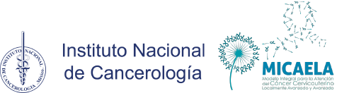 Instituto Nacional de Cancerología Programa MICAELA